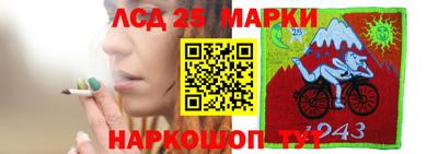 индика Коммунар