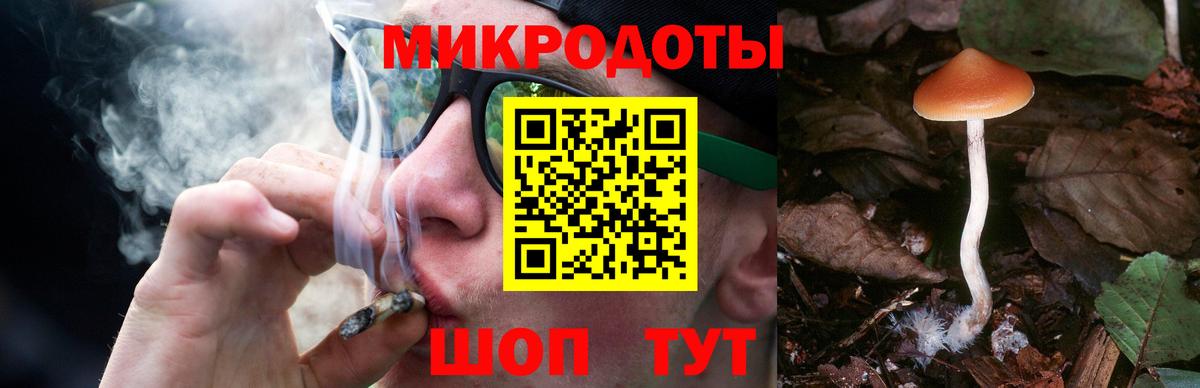 Галлюциногенные грибы Cubensis Электрогорск